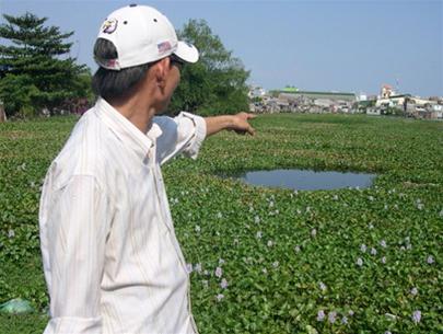 Muỗi... bay đen trời!