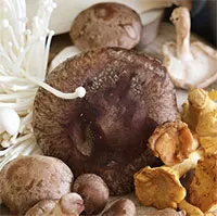 Nấm kỵ với thực phẩm nào? Những tác dụng phụ khi ăn nấm cần chú ý