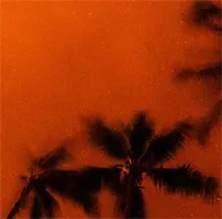 Loại gió nóng kỳ dị có thể góp phần "thổi bùng" các đợt nắng nóng và cháy rừng