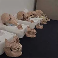 Rùng mình 13 hộp sọ giống “ngoài hành tinh” cạnh kim tự tháp Maya