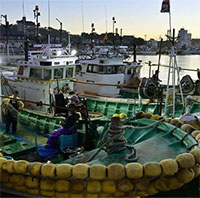 Nhật Bản cho biết không phát hiện cá nhiễm phóng xạ sau khi xả nước thải hạt nhân