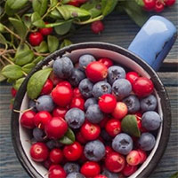 Những lợi ích không ngờ của quả mọng