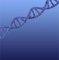 Giải mã bí ẩn nhiễm sắc thể Y xác định giới tính nam