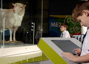 Sinh sản vô tính: Hứa hẹn nhiều ứng dụng quan trọng