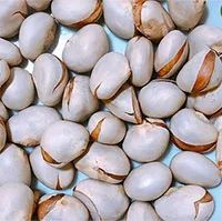 Trong quả mít có 1 thứ cực tốt cho đại tràng, giúp tăng cường sinh lý nhưng thường bị vứt đi