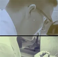 Trí nhớ có thể được di truyền? Thí nghiệm này đã chứng minh thuyết tiến hóa có thể không đúng!