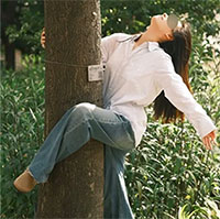 Thực hư liệu pháp ôm cây để giảm bớt căng thẳng của giới trẻ Trung Quốc