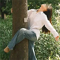 Thực hư liệu pháp ôm cây để giảm bớt căng thẳng của giới trẻ Trung Quốc