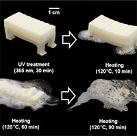 Robot mềm tự hủy có thể tan chảy thành vũng nước