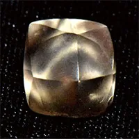 Cô bé 7 tuổi nhặt được kim cương khi đi công viên