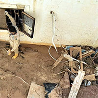 Lũ lụt Libya khiến 20.000 người có thể đã tử vong