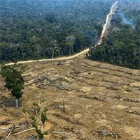 Sự thèm ăn của con người khiến hành tinh sắp hết ngưỡng chịu đựng