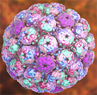 Biến thể virus làm bùng dịch đau mắt đỏ ở TP HCM nguy hiểm thế nào?