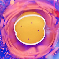 Mô hình kỳ lạ được tìm thấy trong tế bào cơ thể người