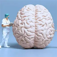 Tiến sĩ Anh tiết lộ cách giúp não bộ "trẻ hơn 30-50 tuổi", đơn giản đến mức ai cũng có thể làm