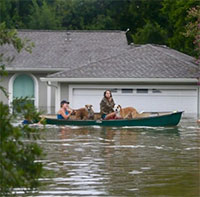Vì sao áp thấp nhiệt đới gần đây gây mưa to ngập lụt nhiều hơn, nhất là ở thành phố lớn?