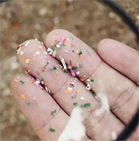 Mưa nhựa làm nhiễm độc hầu hết mọi thứ con người ăn và uống