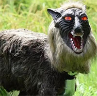 Robot chó sói chặn gấu hoang mò vào thành phố