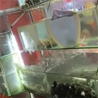 Cá đuối tinh nghịch gây sốt trên mạng xã hội