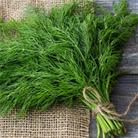 Một gia vị không thể thiếu trong canh cá giúp “tiêu trướng, bổ thận, điều hòa khí âm dương”