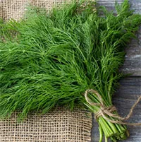 Một gia vị không thể thiếu trong canh cá giúp “tiêu trướng, bổ thận, điều hòa khí âm dương”