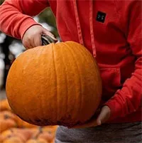 Bí ngô Halloween 2023 sẽ to bất thường