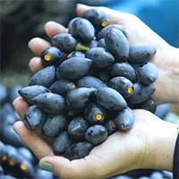 Loại quả "đắt hơn thịt" ở chợ Việt là "thuốc chống ung thư tự nhiên", hạ đường huyết hiệu quả