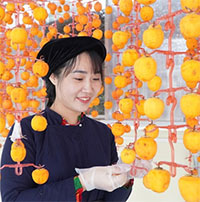 Startup Việt khát vọng đưa hồng vành khuyên treo gió ra thế giới