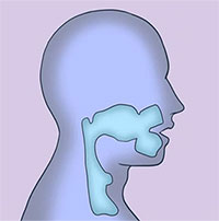 Tại sao phụ nữ và đàn ông có giọng nói khác nhau?