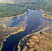 Đây là dòng sông có nước đen nhất thế giới