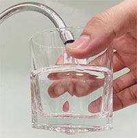 Ba cách đơn giản loại bỏ vi khuẩn E-Coli trong nước