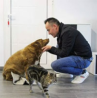 Chú chó sống thọ nhất thế giới qua đời ở tuổi 31