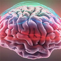 Khoa học tìm thấy tín hiệu lạ trong não người