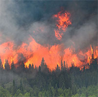 Tại sao Trái đất không thể có lửa suốt hàng tỷ năm?