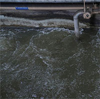 Giới khoa học Trung Quốc biến nước thải thành vật liệu bán dẫn