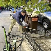 Khốn khổ nhiều năm với “kẻ thù” hôi hám này, bằng cách nào New York đã quét sạch 100% quân số của chúng?