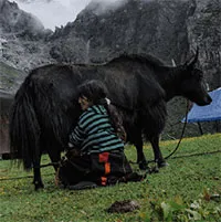 Ảnh hiếm ghi lại cuộc sống bình dị của người dân Bhutan, xứng danh là "vương quốc hạnh phúc nhất thế giới"