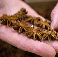 Thêm hoa hồi vào chế độ ăn có tác dụng gì?