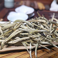 Độc lạ loài cây nghìn năm tuổi ở Việt Nam: Chỉ còn 60 gốc, giá thành phẩm 680 triệu đồng/kg!