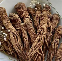 Tại sao đương quy được gọi là "nhân sâm nữ"?