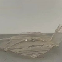 Nhựa mới có thể phân hủy thành thức ăn cho sinh vật biển