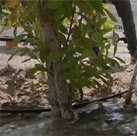 Video: Giới thiệu loại đất sét lỏng giúp biến sa mạc thành đất trồng