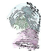 Tại sao trên thế giới, hầu như không có hai người nào có dấu vân tay giống hệt nhau?