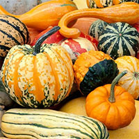 Ba loại thực phẩm giúp cư dân Vùng Xanh Nicoya sống khỏe, trẻ lâu