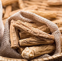 Tác dụng của đảng sâm, loại thảo dược được ví như 