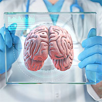 Thí nghiệm cấy ghép não: Sự phát triển của mô não người gây ra những thay đổi hành vi ở chuột