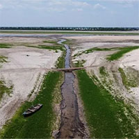 Sông Amazon trơ cạn đáy do tình trạng biến đổi khí hậu nghiêm trọng