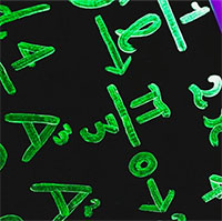 Toán học là một phát minh hay khám phá?