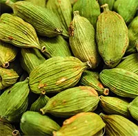 Độc lạ loại gia vị đắt top 3 thế giới, ít nhất 2 năm mới đậu quả, Việt Nam có rất nhiều