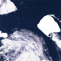 Tảng băng trôi lớn nhất hành tinh bắt đầu di chuyển